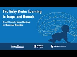 The baby brain: Learning in leaps and bounds