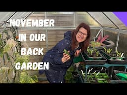 Vegetable Back Garden Tour - November Garden Update