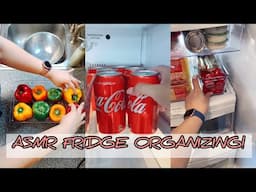 ASMR FRIDGE ORGANIZATION! | TikTok Compilation 2021