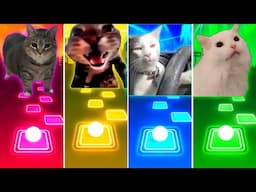 Oiiaoiia Cat vs Doorbell Cat vs Driving Cat vs Coffin Dance Cat - Tiles Hop EDM Rush