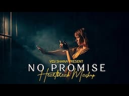 No Promise Mashup 2024 ( Vdj Shana Mashup ) | Heartbreak Chillout