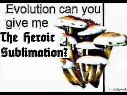 ＥＶＯＬＵＴＩＯＮ ​can you give me (Compilation)