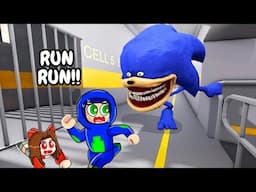 Roblox Ekta Ayush Try To Escape Sonic Tapes Prison!!