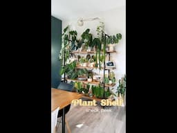 Plant Shelf sneak peek! 🌱👀 a look into what my next video will be about  + plant pot tour soon! 😉