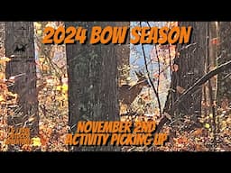 November 2nd Hunt - Activity Picking Up