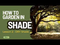 How to garden in shade | DRY SHADE | Garden Design