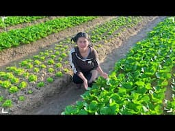 Village Life - Gardening in the Community Garden,Clearing Overgrown Paths,and Cooking Vegetarian Pho