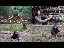 Different Varieties of Mushrooms Bring Different Flavors