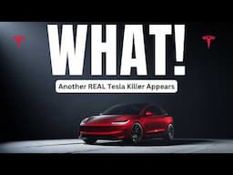 Another REAL Tesla Killer Appears