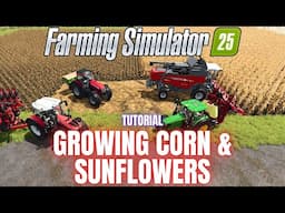 GROWING CORN & SUNFLOWERS - TUTORIAL - Farming Simulator 25