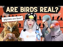 The "Birds Aren't Real" Conspiracy Theory