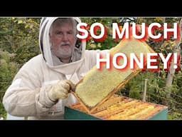 So much honey!