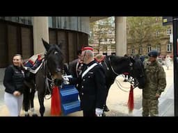 Lord Mayor's Show 2024. The Light Cavalry HAC