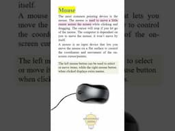 What is a Mouse? | Definition, Uses