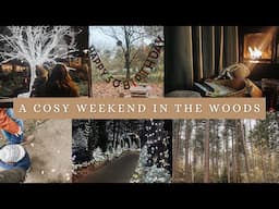 COSY AUTUMN DAYS 🍂 | weekend in the woods, Center Parcs sherwood forest uk, family holiday vlog