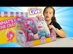 RAINGLOW UNICORN VET SET LITTLE LIVE