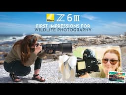 Nikon Z6III : My first impressions for wildlife photography on assignment for Nikon Europe  🙌 📸 💛