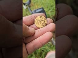 The AT Max STRUCK Gold🤩😱 #metaldetecting #garrettmetaldetectors #viralshorts #goldcoin #relics