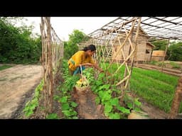 Bushcraft Survival Shelter Build The Most Beautiful Wooden Villa House by Ancient Skills