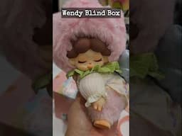 Wendy Garden Treasure Hunt | Plush Blind Box #unboxingblindbox #plushpendant #bagcharm