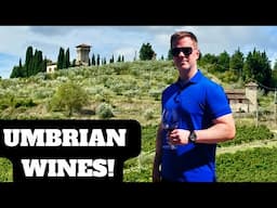 Uncovering Italy's Best Kept Wine Secret: UMBRIA