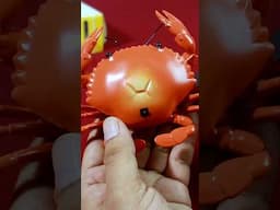 RC Crab Toy Adventure: Watch It Move and Play #ytshorts #ytshortsindia #rctoys