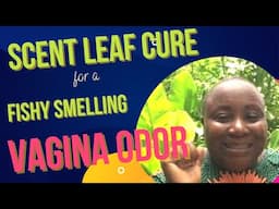 Cure For A Smelly Fishy Vaginal Odor| Get Rid Of Vaginal Odor With Scent Leaf