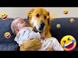 HILARIOUS ANIMAL VIDEOS that will make you LAUGH until you CRY #funnyreactions @Funniest-8