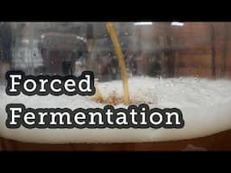 Forced Fermentation - The Modern Homebrewer