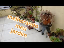 REPLANTANDO NO MEU JARDIM PARTICULAR  ( PARTE 1)