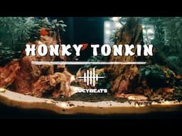 Honky Tonkin  || Peaceful Paradise: Jazz Music with Tranquil Tunes || Ep.151