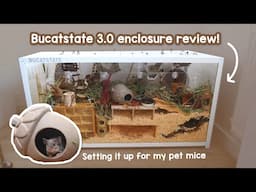 Is the NEW Bucatstate enclosure good? Setting it up for Mice