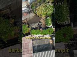 Berkebun di Gang Sempit