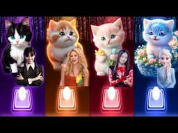 Cute Cats Covers Songs | Wednesday Bloody Mary | Waka Waka Shakira | Flower Jisoo | Enemy Elsa Cats