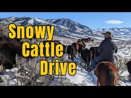 Cattle Drive through Snowy Mountain Range