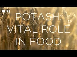 6 Minute CEO - Potash's Hidden Value: Sage Potash's Success