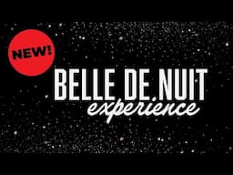 NEW! 'BELLE DE NUIT Experience' | Aaron Terence Hughes