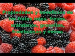 Propiedades y beneficios de los frutos rojos, fresas, arándanos, grosellas, frambuesas y moras