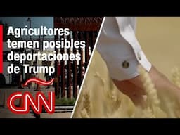 Las promesas de deportaciones masivas de Trump y su potencial impacto en la agricultura