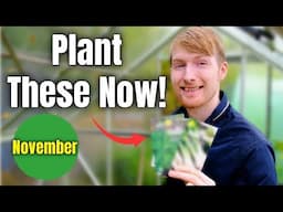 You MUST Sow These Seeds In November! | Allotment For Beginners