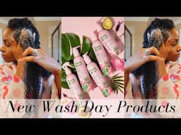 Wash Day Routine for NATURAL Hair! Flora and Curl Hydrate Me Collection Review