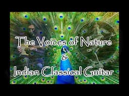 Voices of Nature & Indian Classical Guitar united - Album Collaboration with Biophonica coming up!