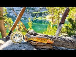 Chasing the WORLD’S Most GORGEOUS TROUT!  SOLO Fishing & Camping! (Catch & Cook with SilverAnt)