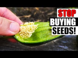 8 Best Crops To Save Seeds From