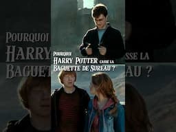 Pourquoi HARRY POTTER casse la Baguette de Sureau ? ⚡️ #jkrowling #potterhead #theories