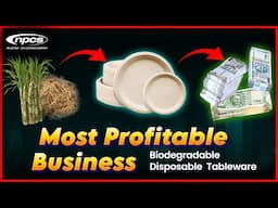 Biodegradable Disposable Cups and Plates Manufacturing Business