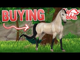 Buying American Saddlebred | Star Stable w/ Jorja