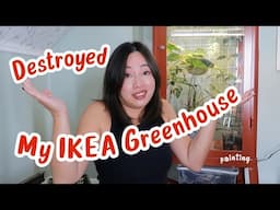 DESTROYED MY IKEA GREENHOUSE - Plant updates