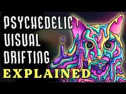 Why Things Melt on Psychedelics (Ft. @LokaVision)