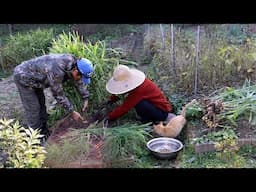 겨울먹거리를 준비하는 산골 시골집~!!